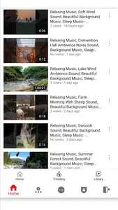 Relaxing Music screenshot 2