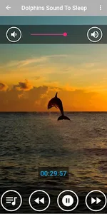 Soothing Dolphin Sounds screenshot 0