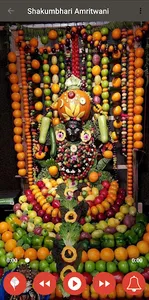Shakumbhari Maa Amritwani screenshot 1
