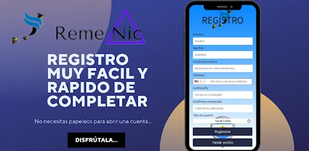 RemeNica screenshot 2