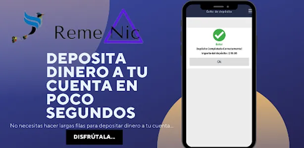 RemeNica screenshot 3