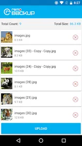 Remo Backup screenshot 3