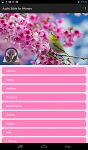 Audio Bible for Women screenshot 0