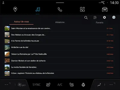 Karacal for Renault screenshot 18