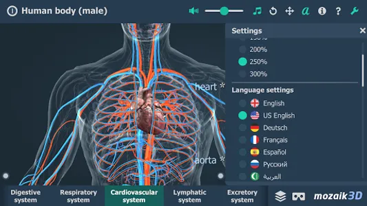 Human body (male) 3D scene screenshot 1