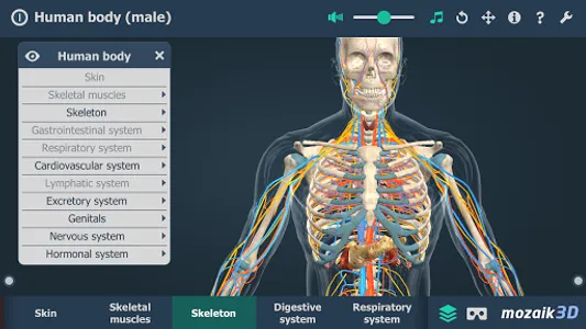 Human body (male) 3D scene screenshot 3