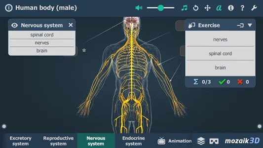 Human body (male) 3D scene screenshot 4