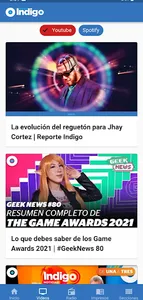 Reporte Indigo screenshot 2