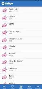 Reporte Indigo screenshot 3