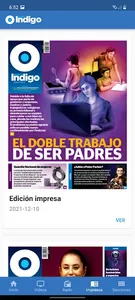 Reporte Indigo screenshot 4