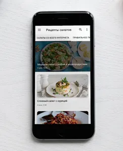 Рецепты салатов на каждый день screenshot 2