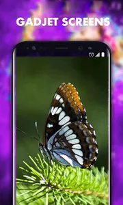 Beautiful Butterfly Wallpapers screenshot 0