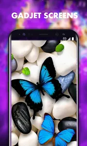 Beautiful Butterfly Wallpapers screenshot 1