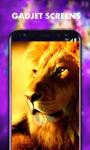 Amazing Lions HD Wallpapers screenshot 0