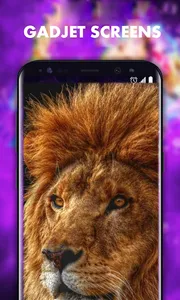Amazing Lions HD Wallpapers screenshot 1