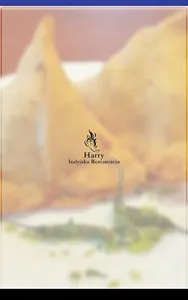 Harry`s Indyjska Restauracja screenshot 7