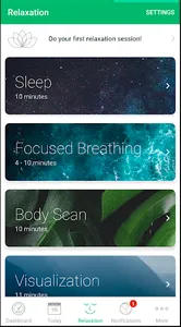 Welsana screenshot 4