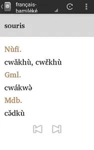 Dictionnaire Français-Bamiléké screenshot 7