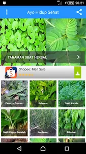 Ramuan Obat Herbal screenshot 0