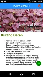 Ramuan Obat Herbal screenshot 2