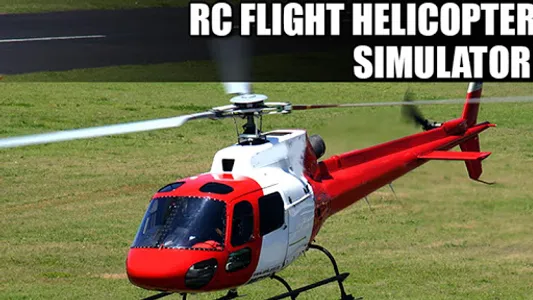 Rc Flight Helicopter Simulator screenshot 10