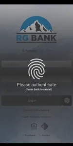 RG Bank screenshot 15
