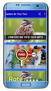 Cantos do Tico Tico Fêmea screenshot 3