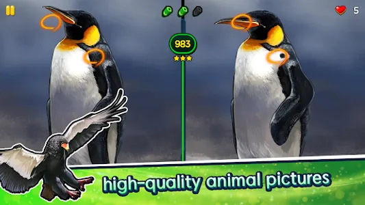 Find the Difference - Animals screenshot 1