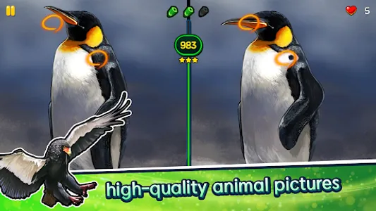 Find the Difference - Animals screenshot 13