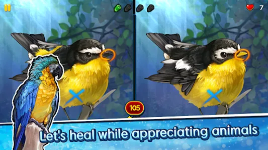 Find the Difference - Animals screenshot 15