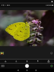 Image Sync screenshot 13