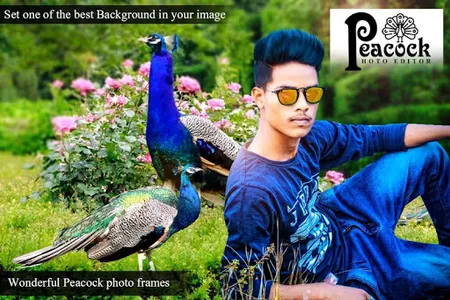 Peacock Photo Editor-Photo Fra screenshot 1