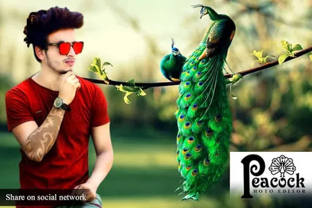 Peacock Photo Editor-Photo Fra screenshot 5