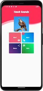 Hawk Sounds screenshot 0