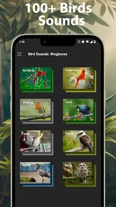 Bird Calls, Sounds & Ringtones screenshot 0