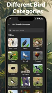 Bird Calls, Sounds & Ringtones screenshot 2