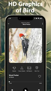 Bird Calls, Sounds & Ringtones screenshot 3