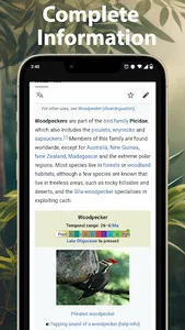 Bird Calls, Sounds & Ringtones screenshot 4