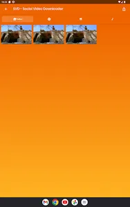 Social Video Downloader - SVD screenshot 18