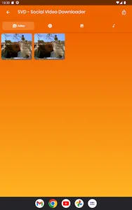 Social Video Downloader - SVD screenshot 9