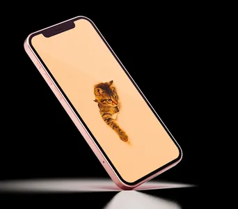 Cat Wallpaper screenshot 13