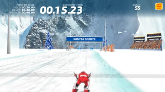 Ski Racer screenshot 6