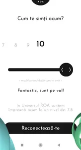 ROA screenshot 2