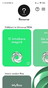 ROA screenshot 5