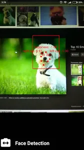 Gimme A Smile! screenshot 5