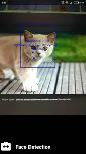 Gimme A Smile! screenshot 6