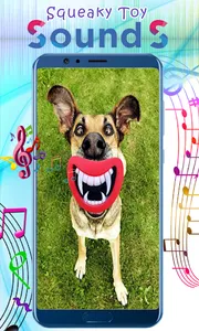 Squeaky Toy Sounds screenshot 4
