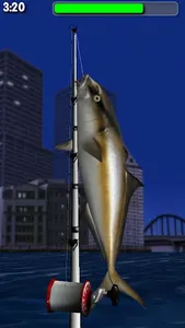 Big Night Fishing 3D Lite screenshot 2