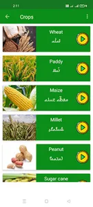 Rohingya Picture Dictionary screenshot 9