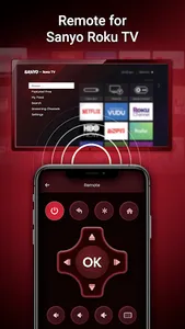 Remote for Sanyo Roku screenshot 5